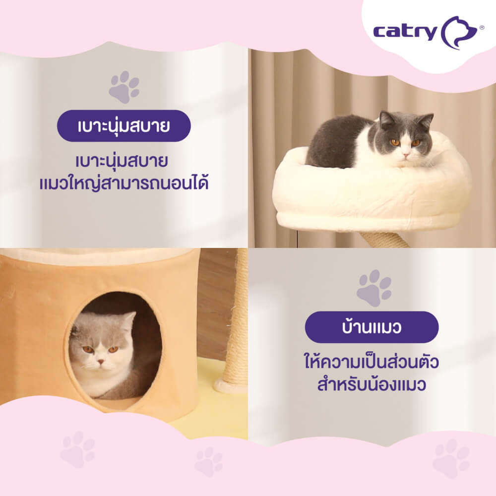 คอนโดแมว Catry รุ่น Cat Tree Ice Cream ไซส์ S รูปทรงไอศครีม